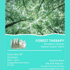 Compassionate Forest Therapy Session