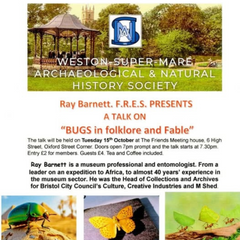 Bugs In Folklore & Fable