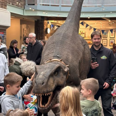 Dino Day!
