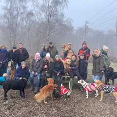 Christmas Pack Walk