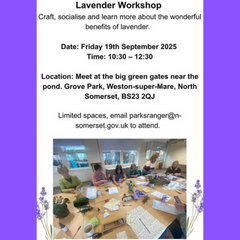 Lavender Workshop @ Grove Park