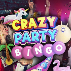 Crazy Party Bingo