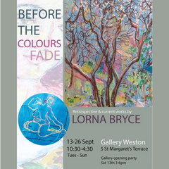 Before The Colours Fade