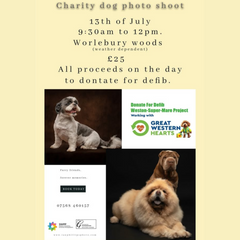 Charity Dog Photoshoot