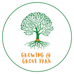 Spring Into Summer Community Celebration