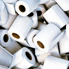 The Loo-vre Loo Roll Coaster Workshop