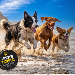 ProDog Beach Fest 2026