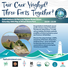 Three Forts Together! 