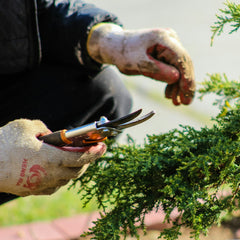 Vision North Somerset: Gardening Club