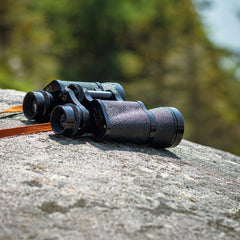 Birdsong and Binoculars